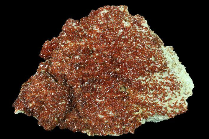 Ruby Red Vanadinite Crystals on Barite - Morocco #134710
